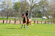 Geländetraining ZRFV Hamminkeln (24+25.04.2021)