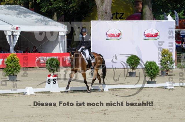 FEI European Championship Eventing 2017