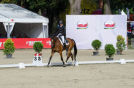 FEI European Championship Eventing 2017