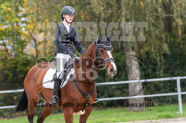 Goldene Schärpe 2020 - Pferde