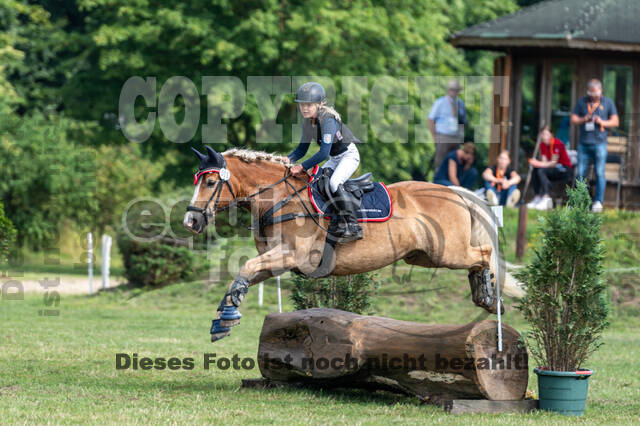 Goldene Schärpe 2021 - Ponys