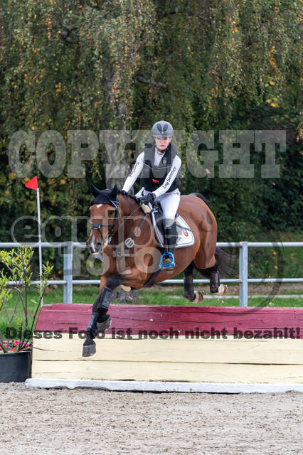 Goldene Schärpe 2020 - Pferde