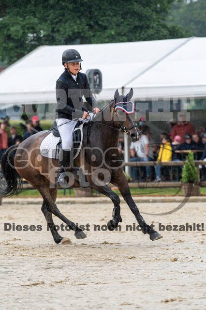 Goldene Schärpe 2021 - Ponys