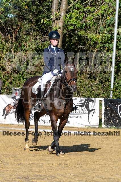 RFV Dinslaken-Hiesfeld (Herbstturnier)