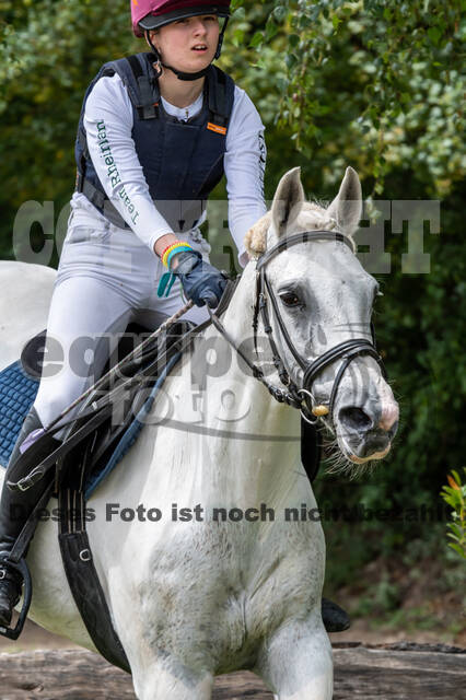 Late-Entry-Vielseitigkeit Langenfeld (06.+07.07.2020)
