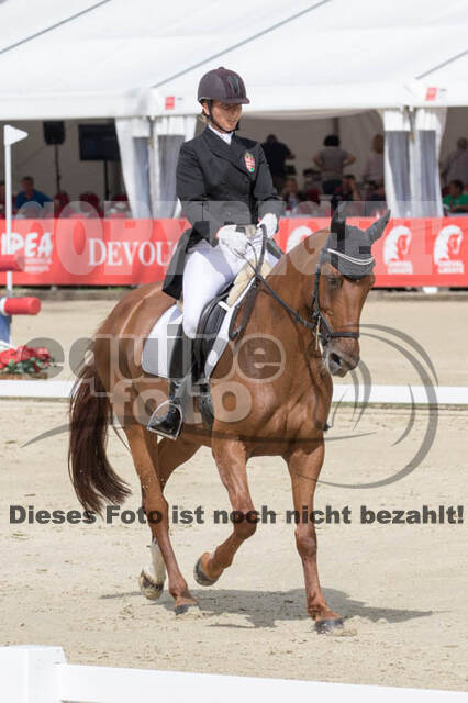 FEI European Championship Eventing 2017