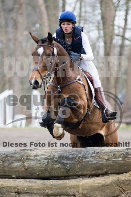 Jungpferdetag Hamminkeln