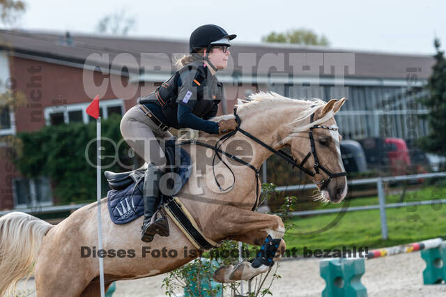 IGV Lehrgang der Sieger der Cups mit Frank Ostholt