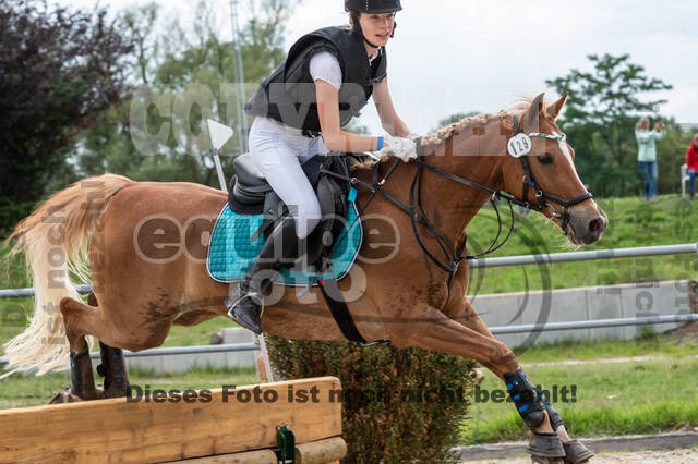 Late-Entry-Vielseitigkeit Langenfeld (06.+07.07.2020)