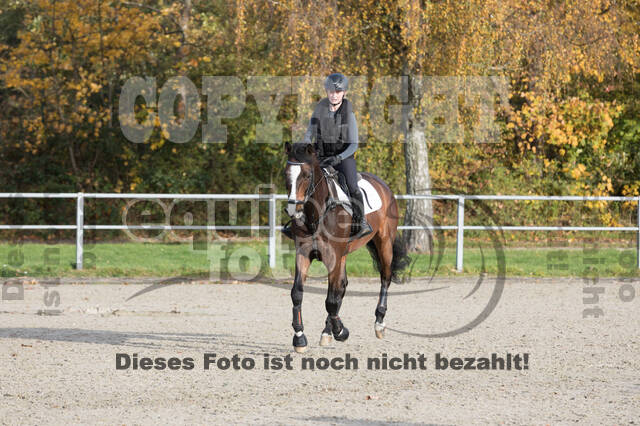 IGV Lehrgang der Sieger der Cups mit Frank Ostholt