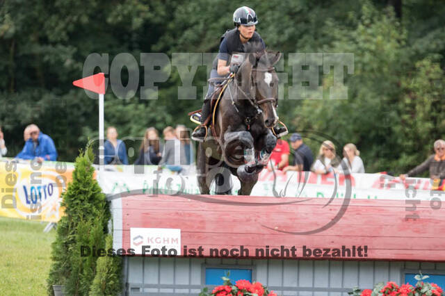 FEI European Championship