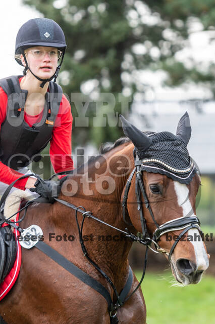 Goldene Schärpe 2020 - Pferde