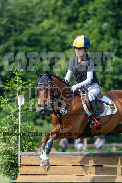 Goldene Schärpe 2021 - Ponys