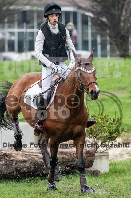 Goldene Schärpe 2020 - Pferde
