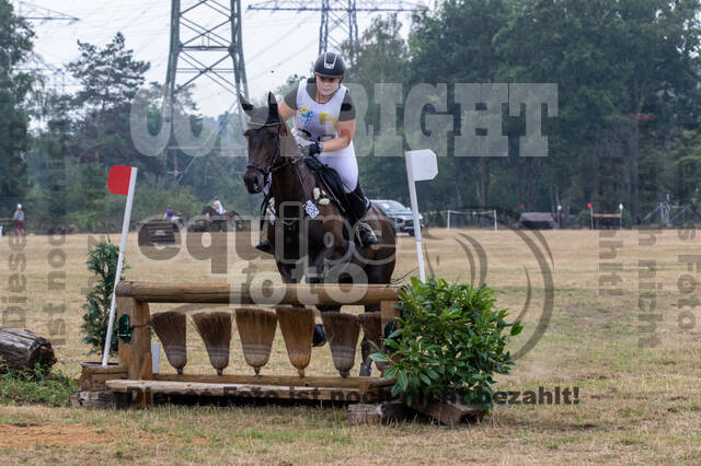 Late-Entry Vielseitigkeit Hamminkeln/Wesel (01.+02.08.2020)