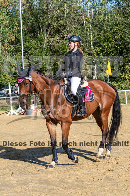 RFV Dinslaken-Hiesfeld (Herbstturnier)