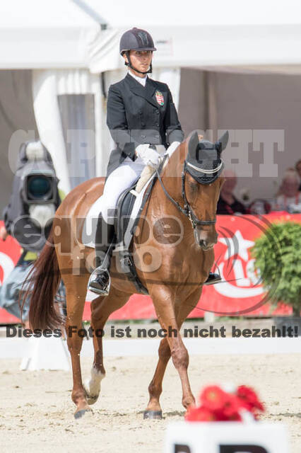 FEI European Championship Eventing 2017