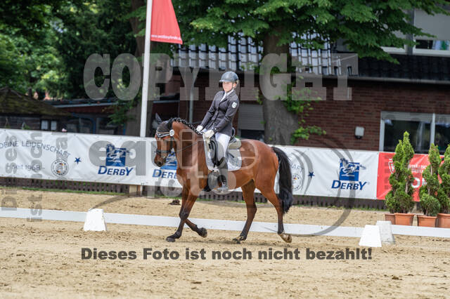 Goldene Schärpe 2021 - Ponys