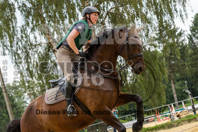 Hunter Geländetraining 10.07.2021 (Sonsbeck)