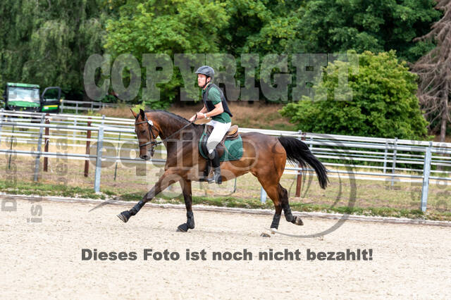 Late-Entry-Vielseitigkeit Langenfeld (11.+13./14.06.2020)