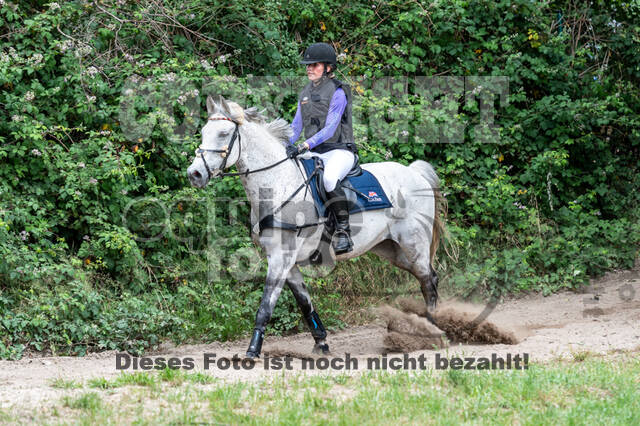 Late-Entry-Vielseitigkeit Langenfeld (11.+13./14.06.2020)