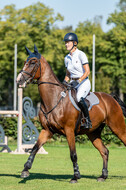 Kronenberg - De Peelbergen (August 2020)