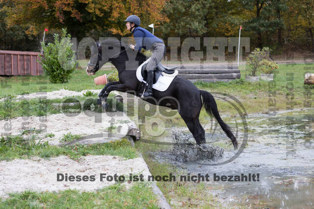 IGV Lehrgang der Sieger der Cups mit Frank Ostholt