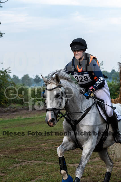 De Peelbergen (August 2020)