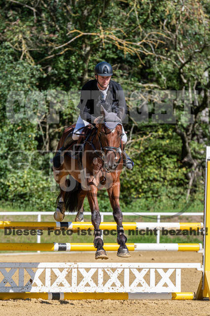 RFV Dinslaken-Hiesfeld (Herbstturnier)