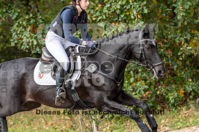 Reiter Schleswig-Holstein