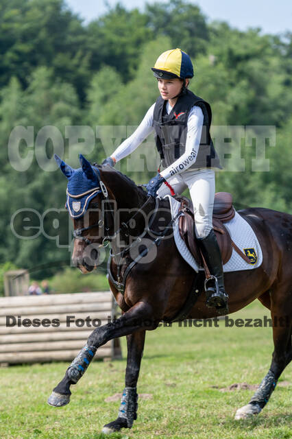 Goldene Schärpe 2021 - Ponys