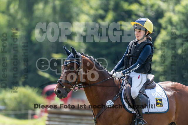 Goldene Schärpe 2021 - Ponys