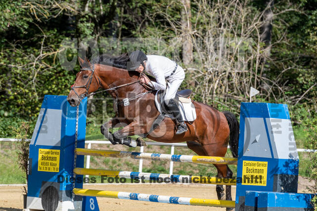 RFV Dinslaken-Hiesfeld (Herbstturnier)