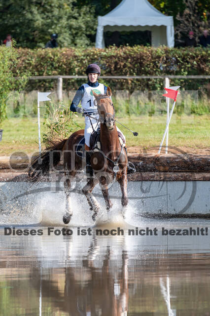Deutsche Meisterschaft Vielseitigkeit (Luhmühlen)