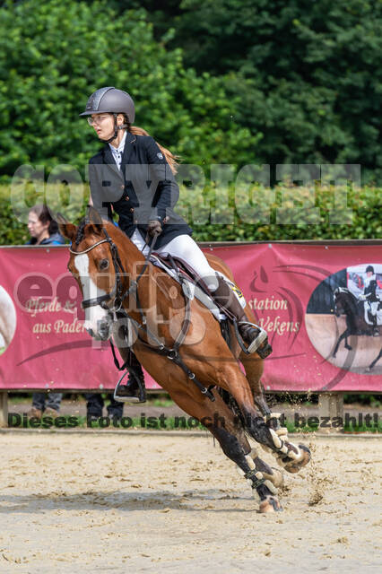 Goldene Schärpe 2021 - Ponys