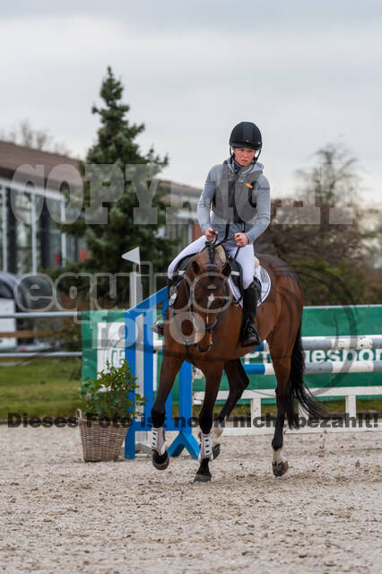Eventing im Pferdesportzentrum Rheinland (Late Entry 14.03.2022)