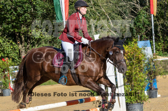 RFV Dinslaken-Hiesfeld (Herbstturnier)