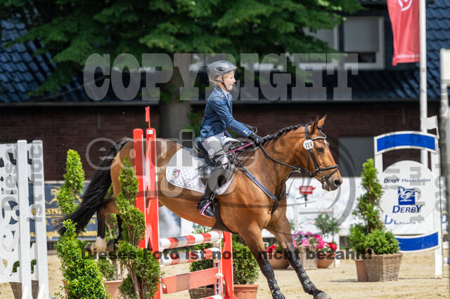 Goldene Schärpe 2021 - Ponys