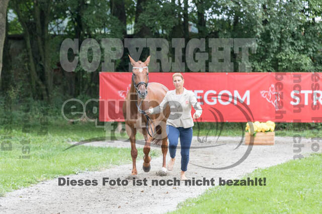 FEI European Championship Eventing 2017