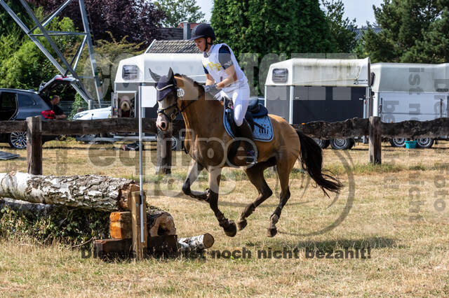 Late-Entry Vielseitigkeit Hamminkeln/Wesel (01.+02.08.2020)
