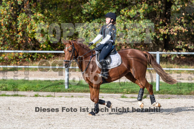 IGV Lehrgang der Sieger der Cups mit Frank Ostholt