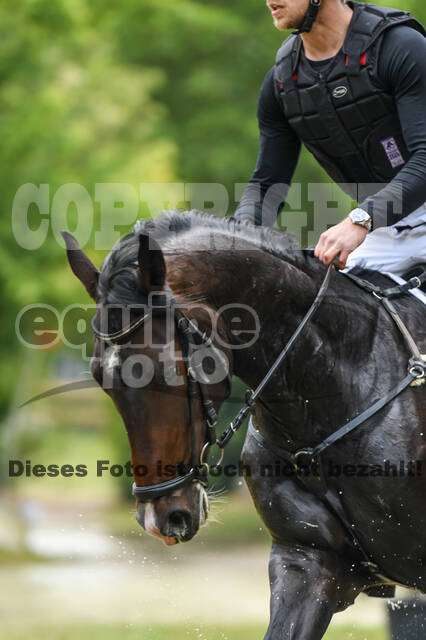 Late-Entry-Vielseitigkeit Langenfeld (11.+13./14.06.2020)