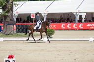 FEI European Championship Eventing 2017