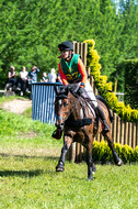 Westerstede Horse Trials (10.-13.06.2021)
