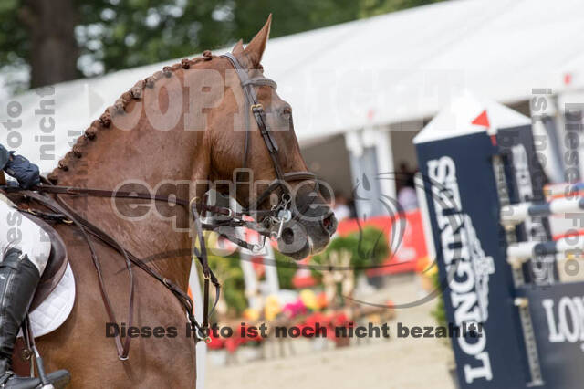 FEI European Championship Eventing 2017