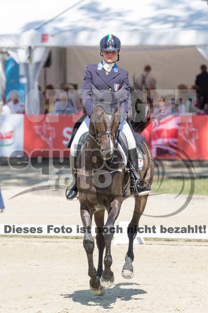FEI European Championship