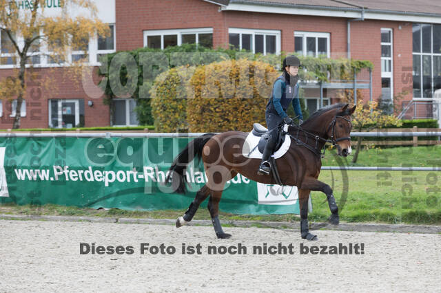 IGV Lehrgang der Sieger der Cups mit Frank Ostholt