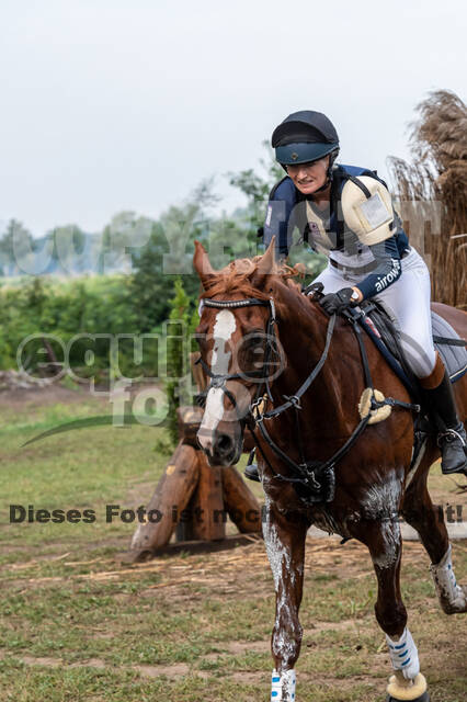 De Peelbergen (August 2020)