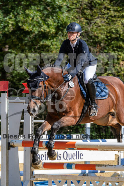 RFV Dinslaken-Hiesfeld (Herbstturnier)
