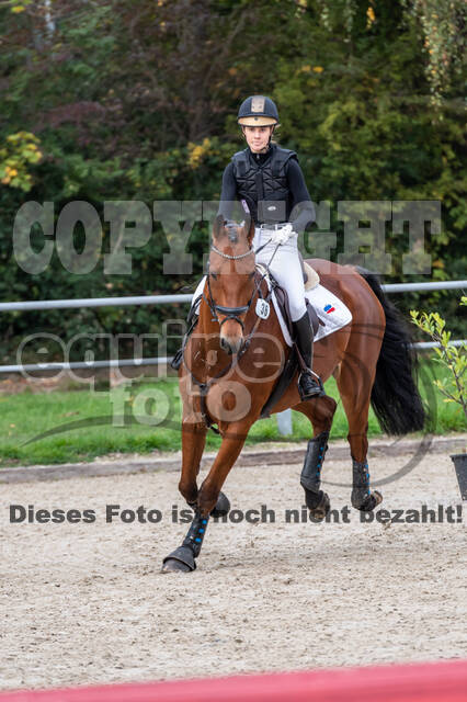 Reiter Schleswig-Holstein